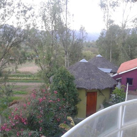 Hotel La Pasarela Tarija Exterior foto